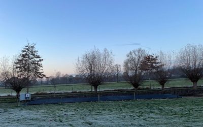 Zonnepanelen in het weiland – De heer Dubois